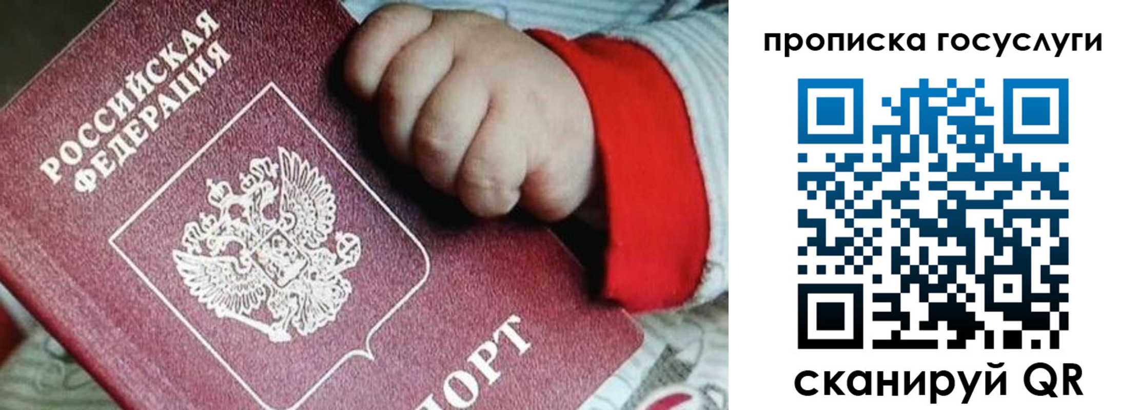 прописка штамп в Фрязино